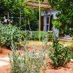 Gaia Lejlighed Hersonissos (Crete)