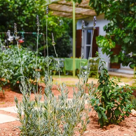 Gaia Appartement Chersonissos