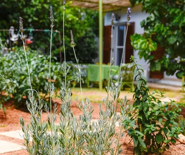 Gaia Apartment Limenas Chersonisou